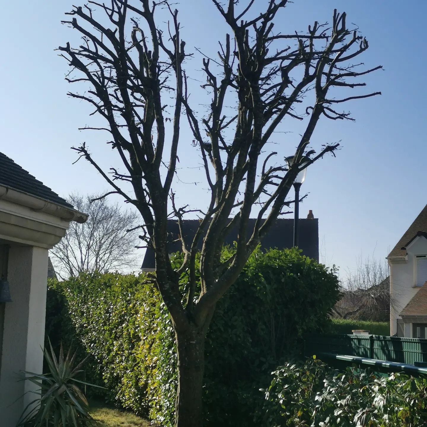Réalisation Les plaisirs des jardins 6